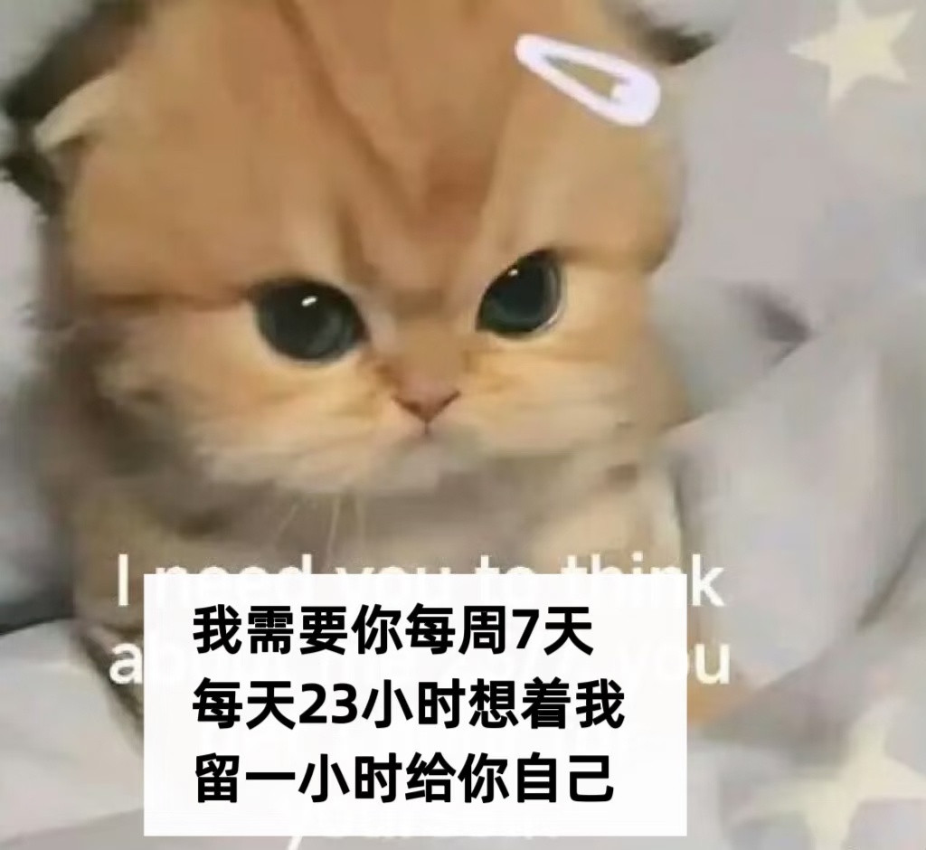 今日份meme：我们高需求就是这么黏人