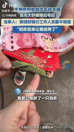 “这下后悔了吧！”湖南永州，一夫妻抓了只蚂蚱，随手放在了汽车的扶手箱里，结果下车