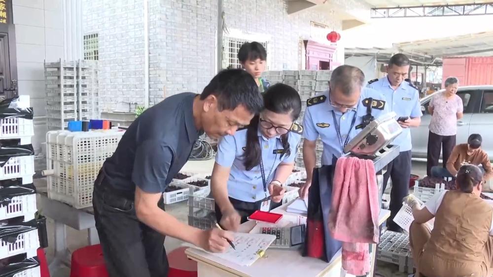 福建漳州龙海区杨梅收购点违规使用添加剂事件，最终处理结果出来了：2人免职，13人