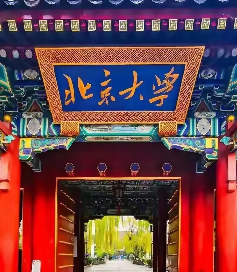 怪不得班主任发飙，到手的金钱和荣誉没了。三名尖子生放弃清华北大，班主任怒称他们