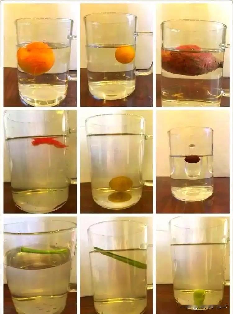 为什么有些物体在水中会沉而有些会浮？物体是沉是浮取决于它的密度与水的密度相比哪