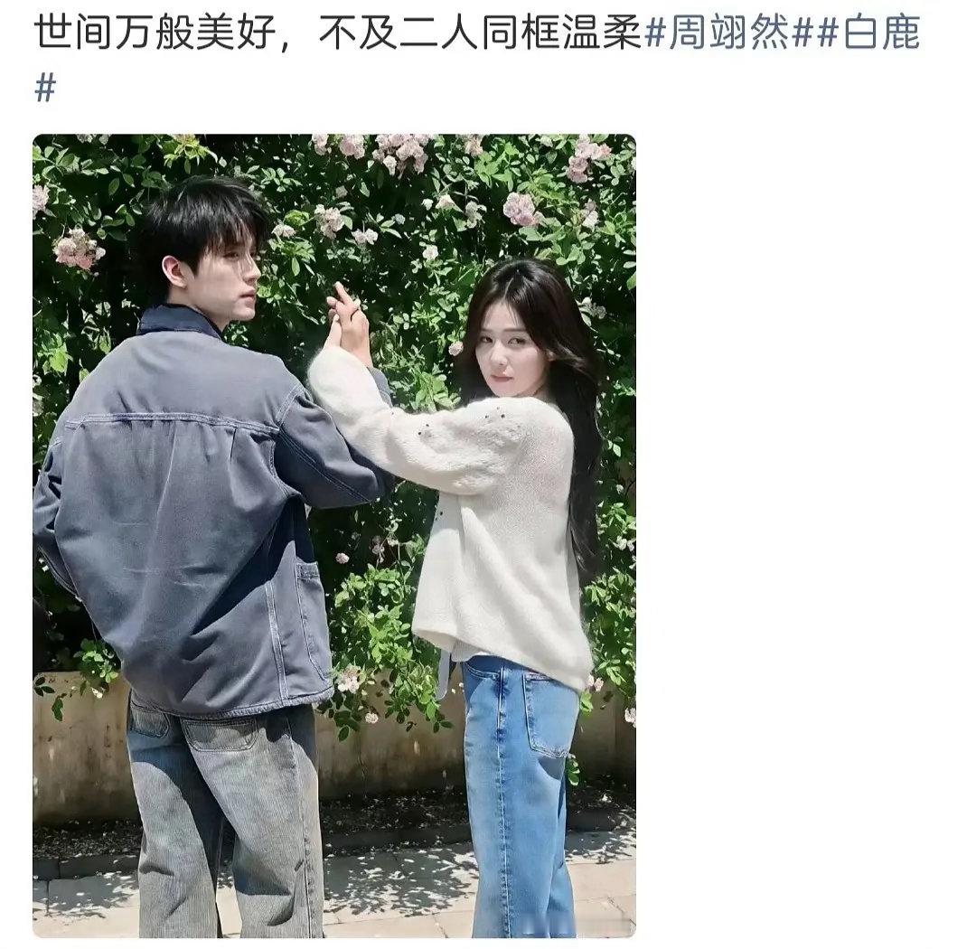 白鹿现在要和周翊然麦吗？