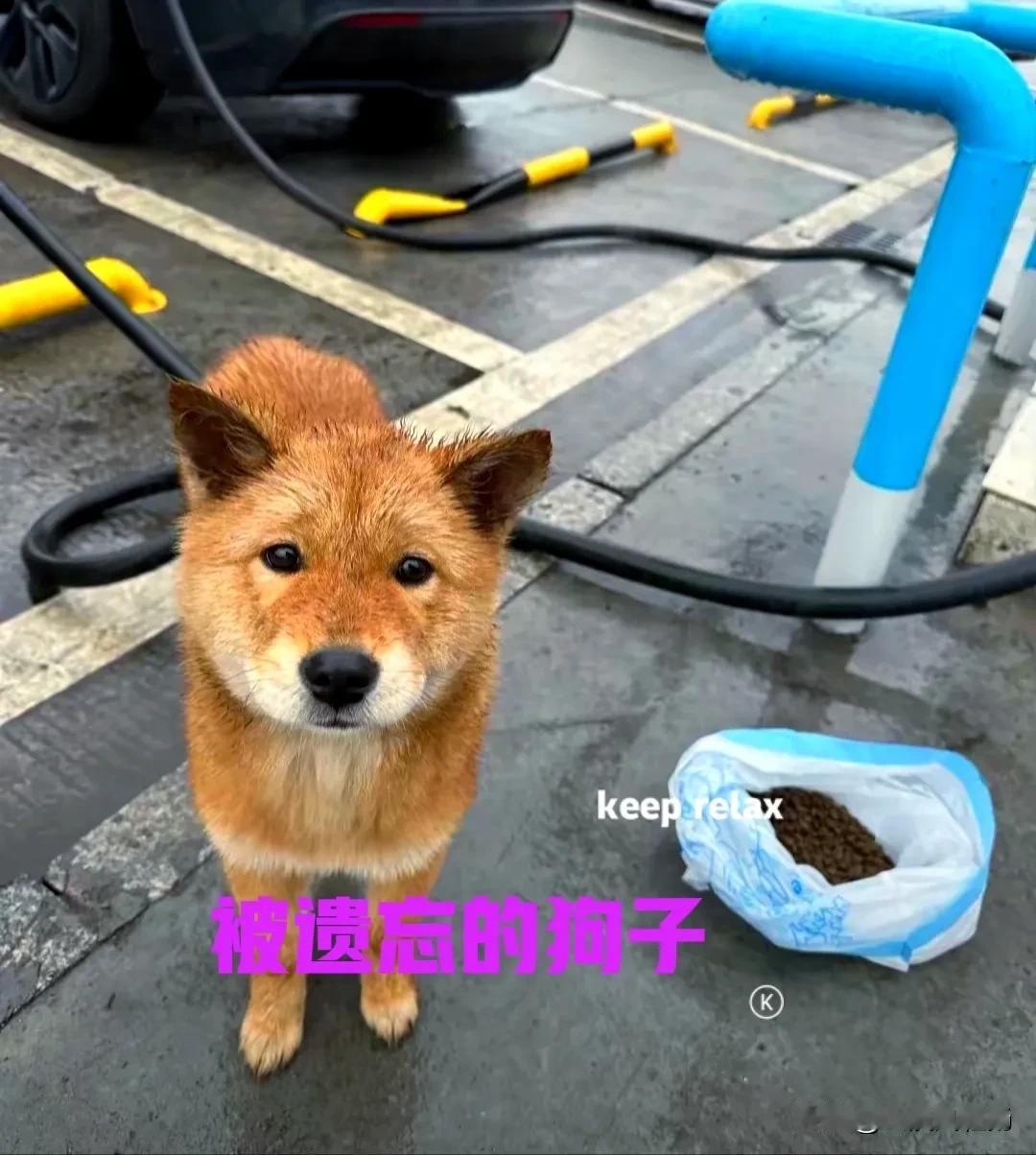 车子的电量不多了，前面刚好有一个高速服务区，于是便拐了进去。给车子充电的时候，发