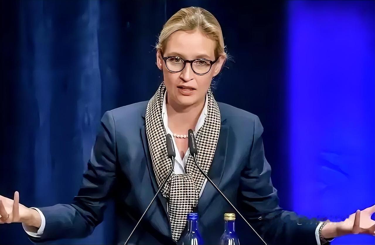 德国选择党在黑森州副议长竞选中又双叒叕惨败，魏德尔的权力梦碎得明明白白，场面尬到