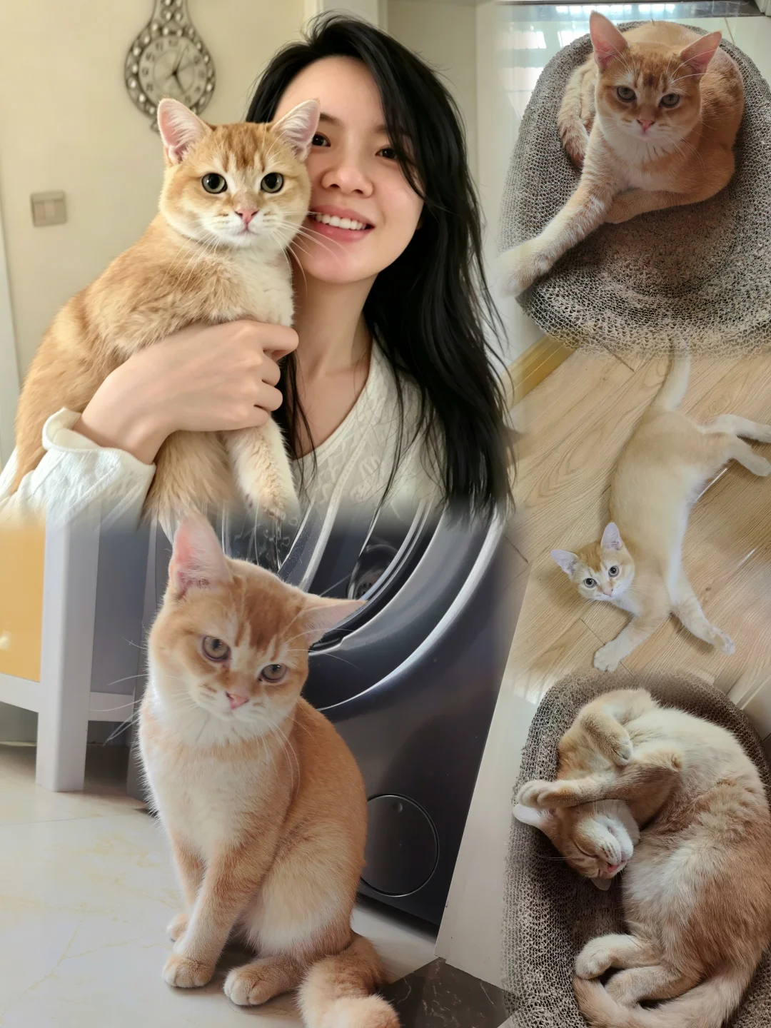 38岁醒悟：女人顶级养生，学着小猫过日子