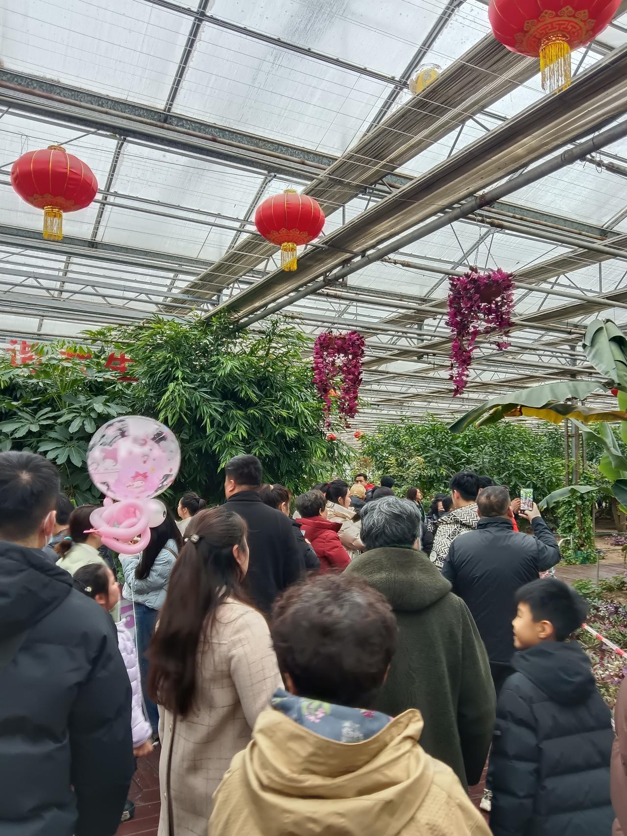 别再乱出门了，2026年旅游已经不是以前的玩法了2026年的旅游，正在经历