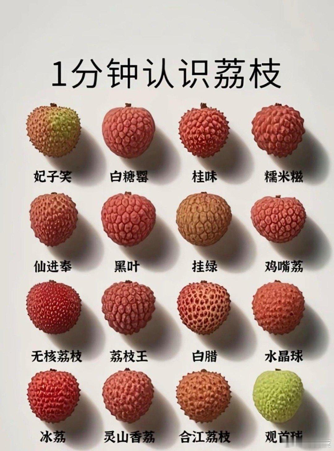 长安的荔枝，你们认识几种？​​​