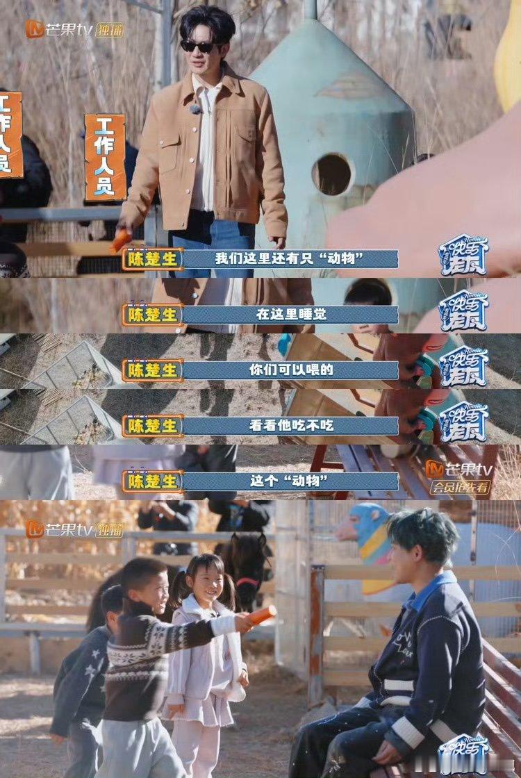 陈楚生介里不许猫睡觉生哥主打一个淡定拆台，猫猫的悠哉模式秒切营业模式，太难了快乐