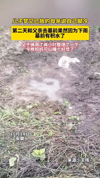 家人们谁懂啊！安徽六安这事儿看得我鼻子发酸，哪是什么托梦玄学，分明是刻在骨子里