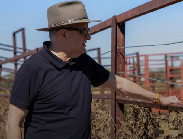 澳大利亚天塌了在加拿大总理卡尼上周访华之后，一家中国进口商购买了一批加拿大油菜