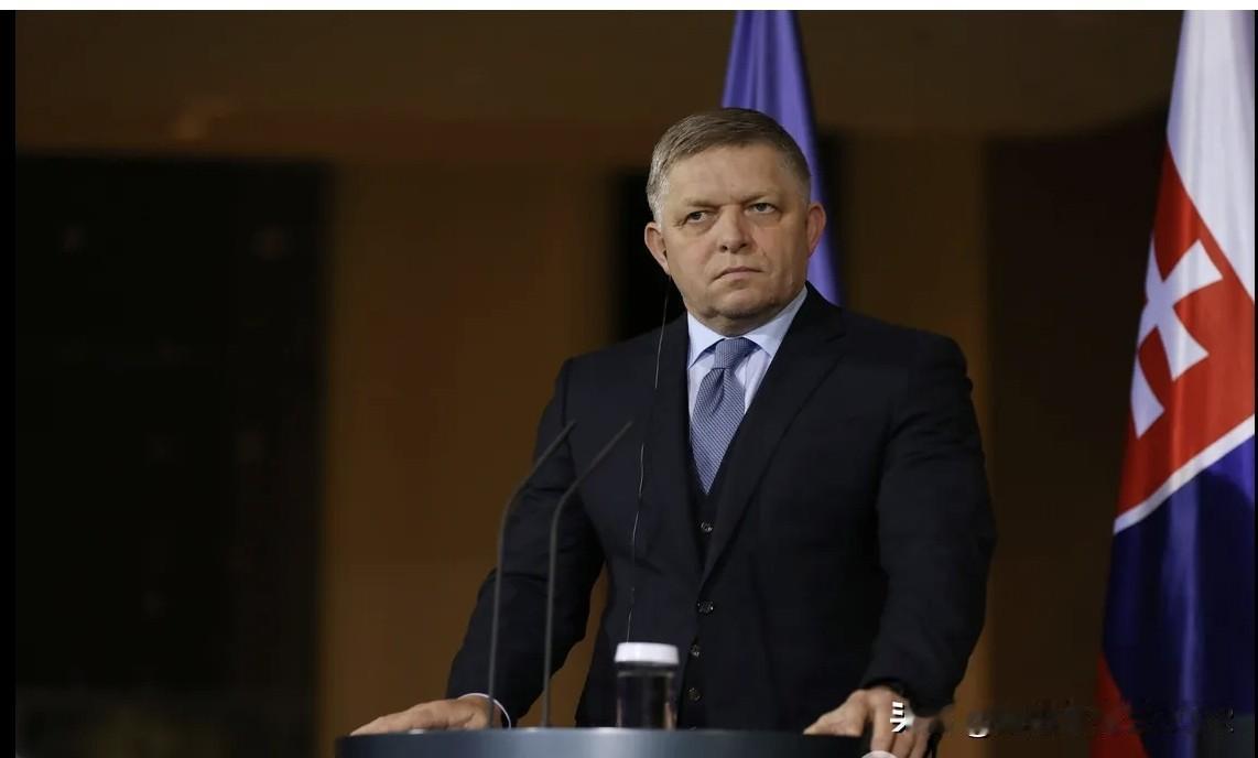 菲科这次说对一个事实！“世界秩序崩溃的又一证据”斯洛伐克总理菲佐，对美国在