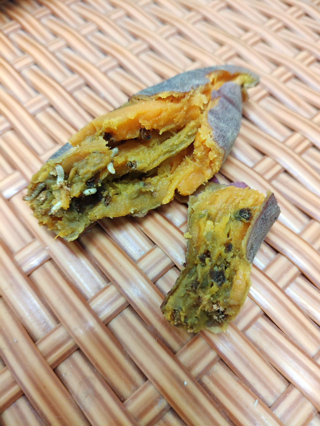 现在红薯不用农药，很难有收成。这是亲戚从农村寄过来的红薯，说是没有打农药的。外