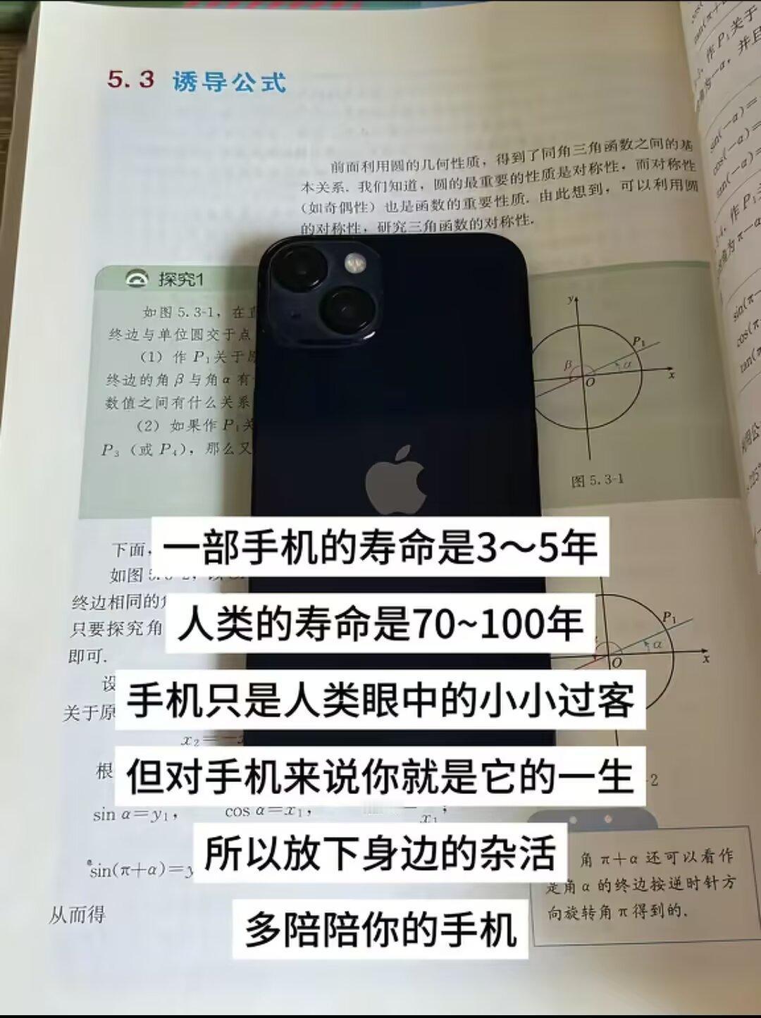 疑似世间真理