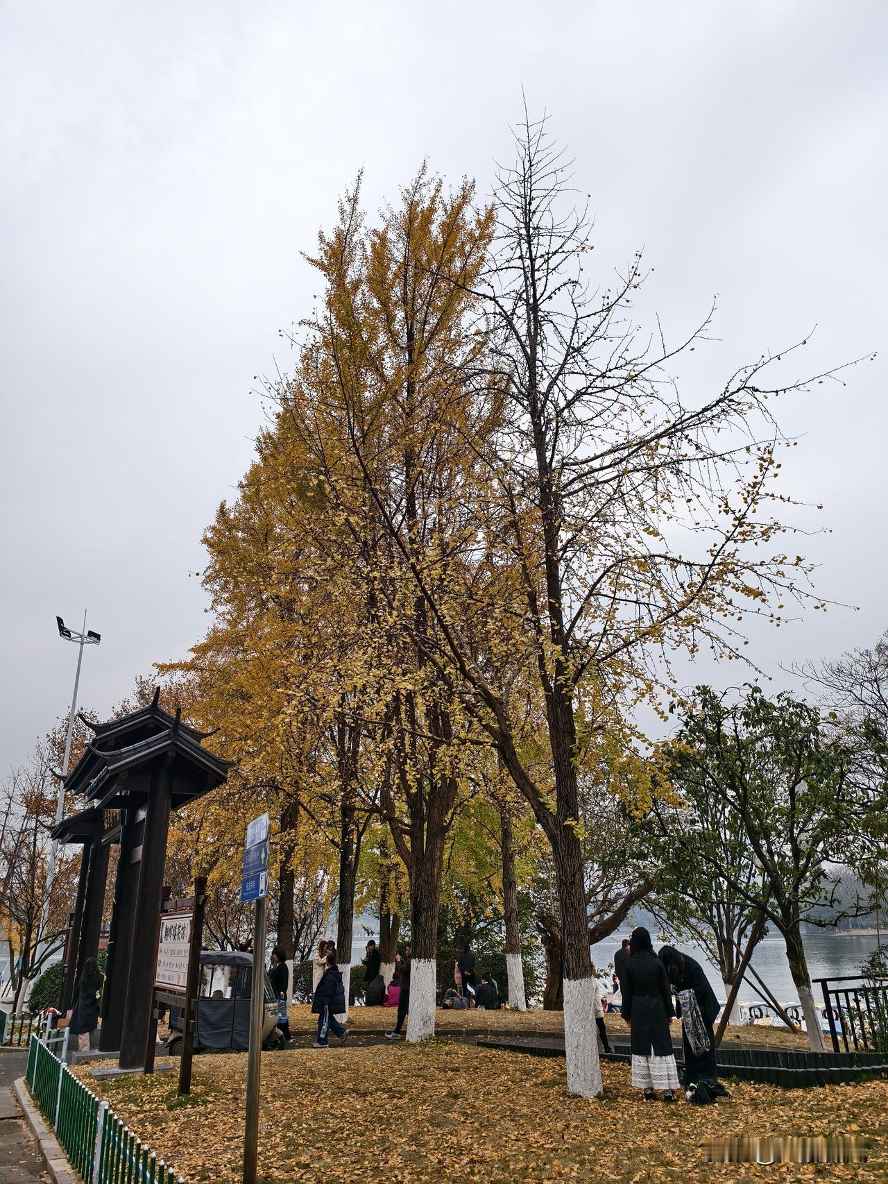 我发现，有钱人都挺随和的。今天朋友过生日出去吃饭，回来的时候开车从饭店停车场出