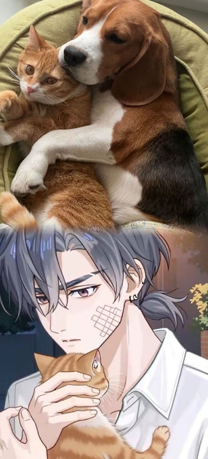 国漫比格犬男友上桌了打开电脑，周往正在你桌面闲逛。补课时走神挨锤，追剧时偷偷瞄你