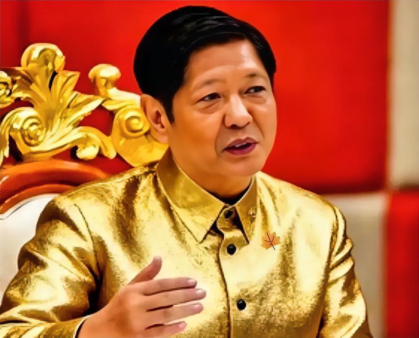 菲律宾医保钱被挪用，法院判返还却卡住，60亿何时能到位。菲律宾最高法院12月6