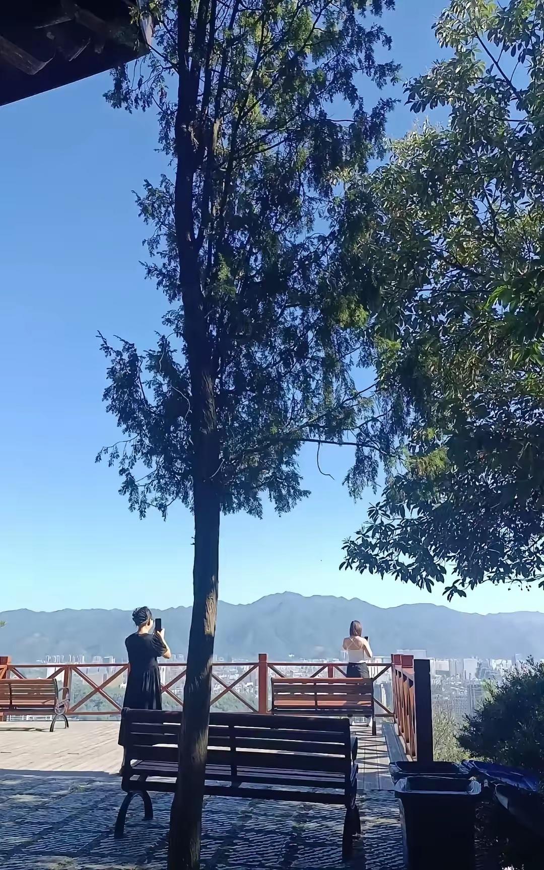 团建聚餐结束后，众人都在兴致勃勃地打麻将，我对此一窍不通，便萌生了回家的念头。巧