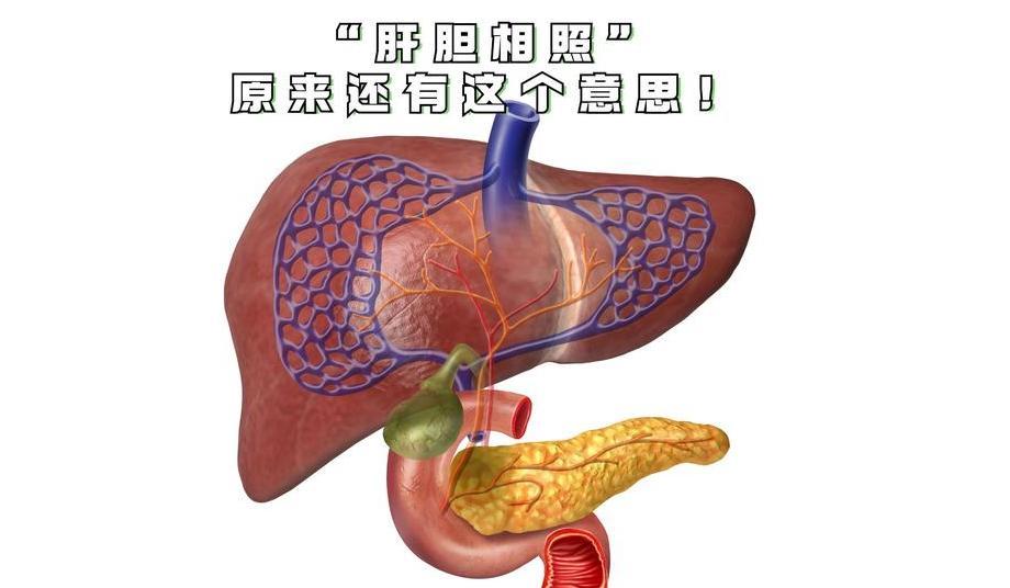 半夜准时1–3点醒，还口干口苦？中医直击根源，帮你一觉睡到天亮大家好，我是