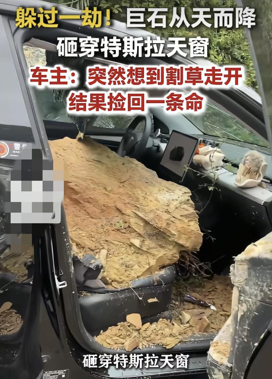 重庆一对情侣放假准备开车回家，途经一山坡底下，女子突然想到家里的兔子没草吃，就下