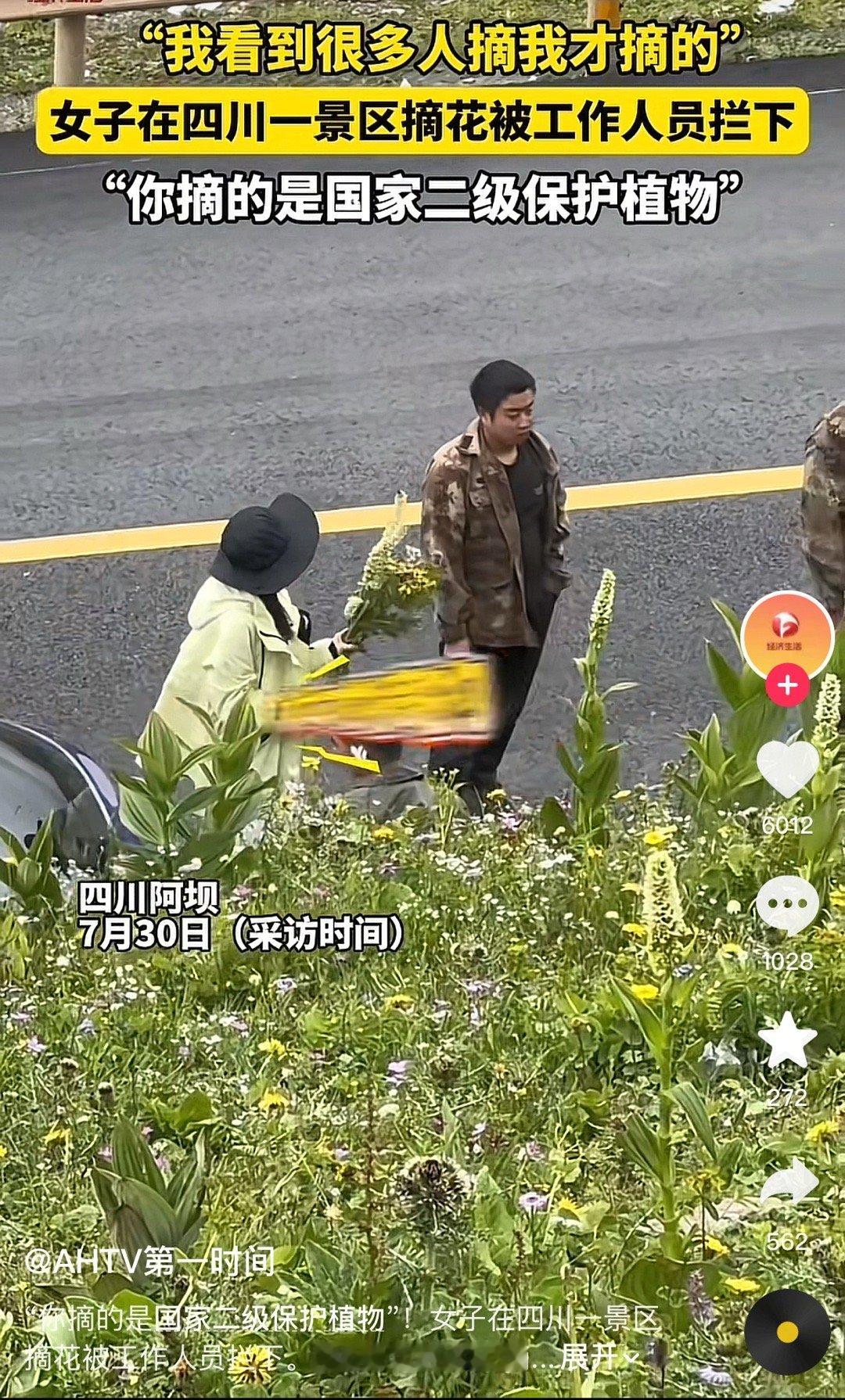 “保护花开的方式是让花盛开而不是去阻止”​​​