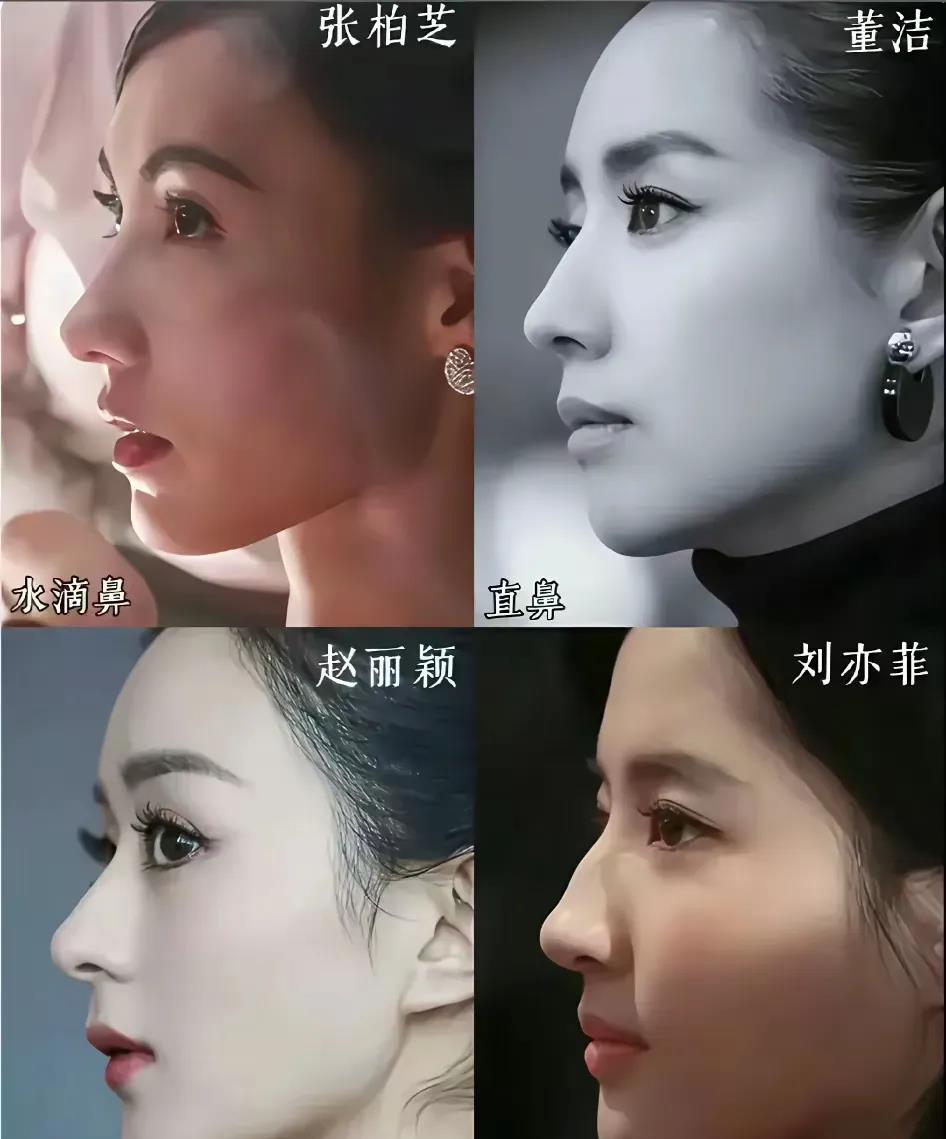 一看看过去，鼻子居然比眼睛更抢镜！谁的鼻子最惊艳？以前看美女，只看眼睛，眼睛