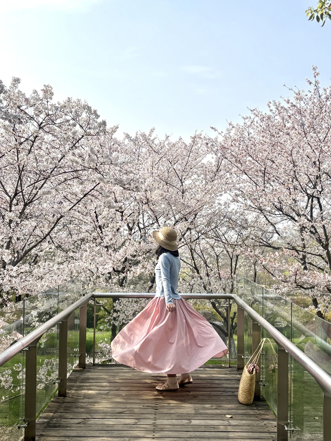 3.27实拍❗️武汉这个樱花观景台美哭了！人少