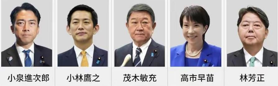 小泉进次郎在接受记者采访的时候，经常说一些没有营养的废话，作为政治世家出生的嫡子