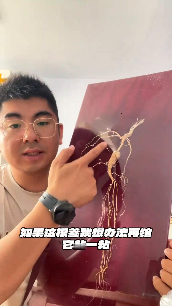 那天我小心翼翼的整理一茬人参，一不小心一根品相还很好的人参掉到了地上。捡起来一看