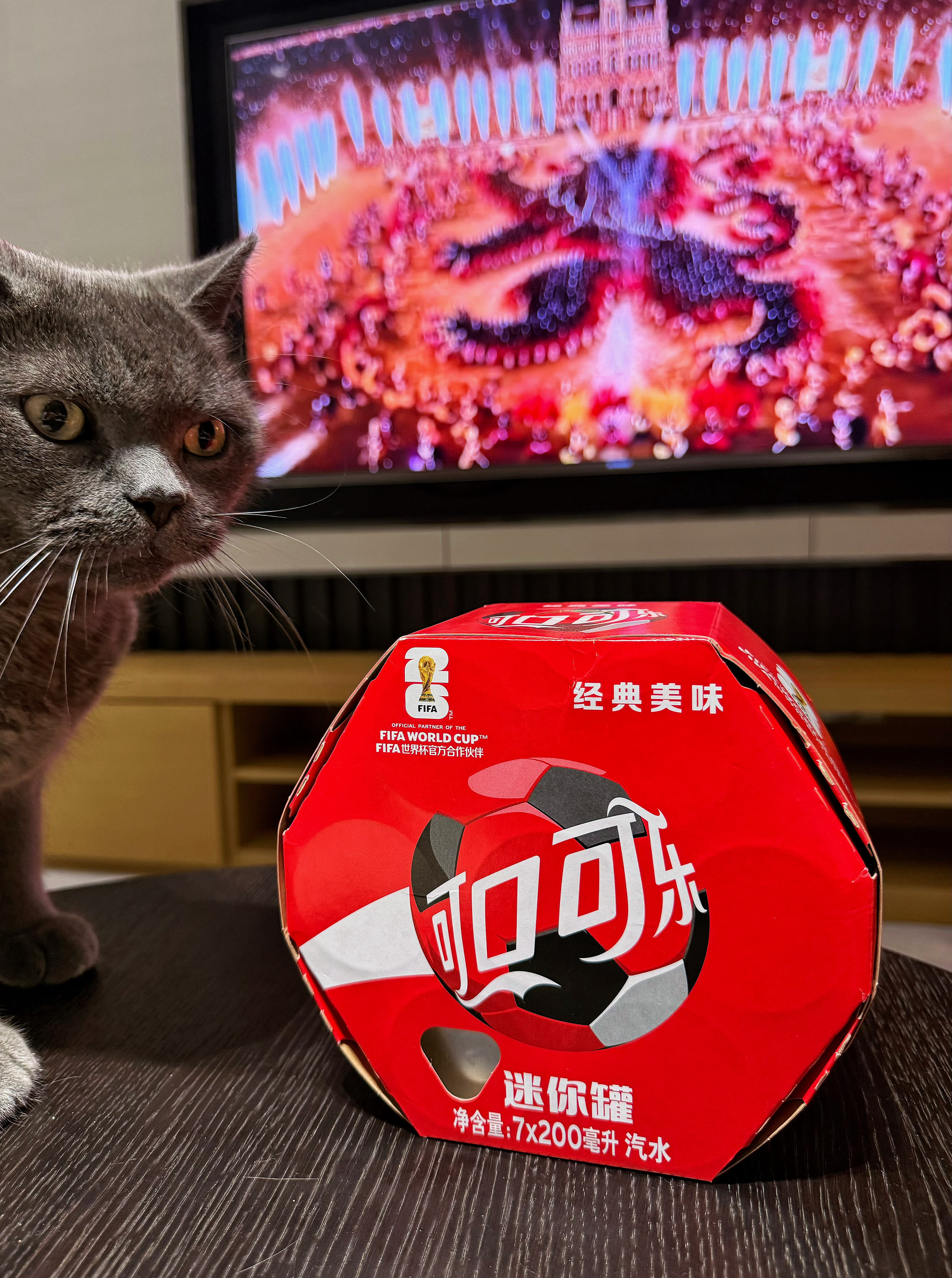 这届世界杯人手一个范志毅讲真最开始刷世界杯纯粹是冲场上球员去的~没想到刷到可口可