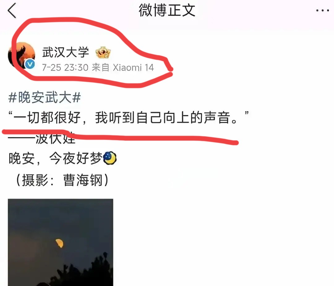 武汉大学终于发声了，可是学到了杨某媛的精髓，真会阴阳！一句“一切都很好，
