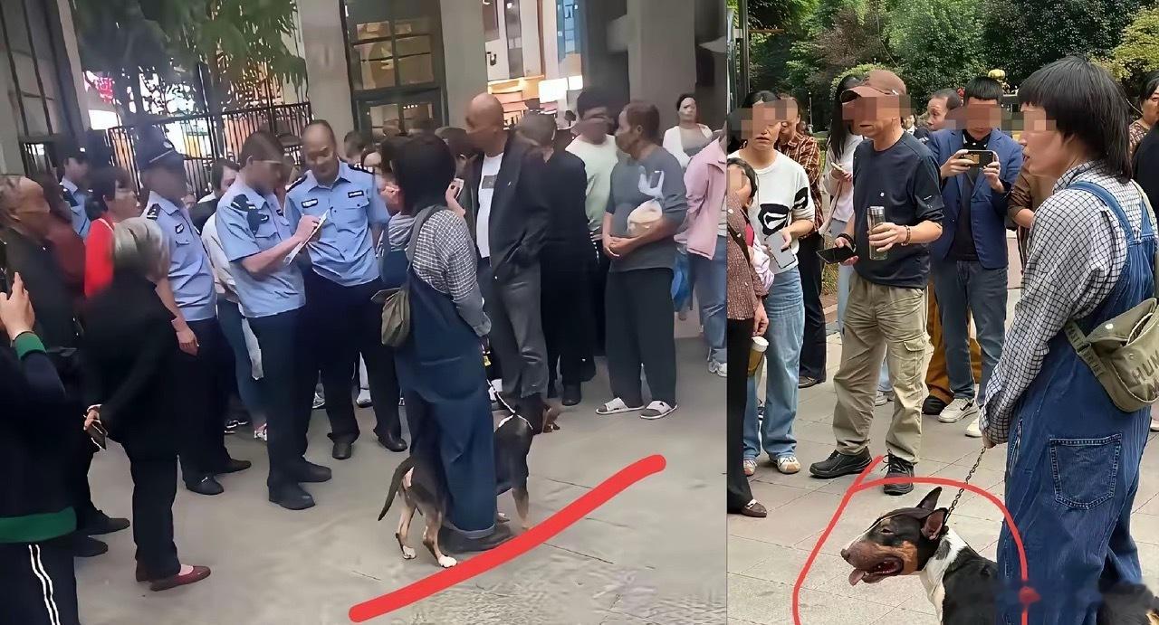 四川仁寿咬人的狗主人一点儿都不怕，面无表情，没有愧疚。其实这是正常的！如果她有敬
