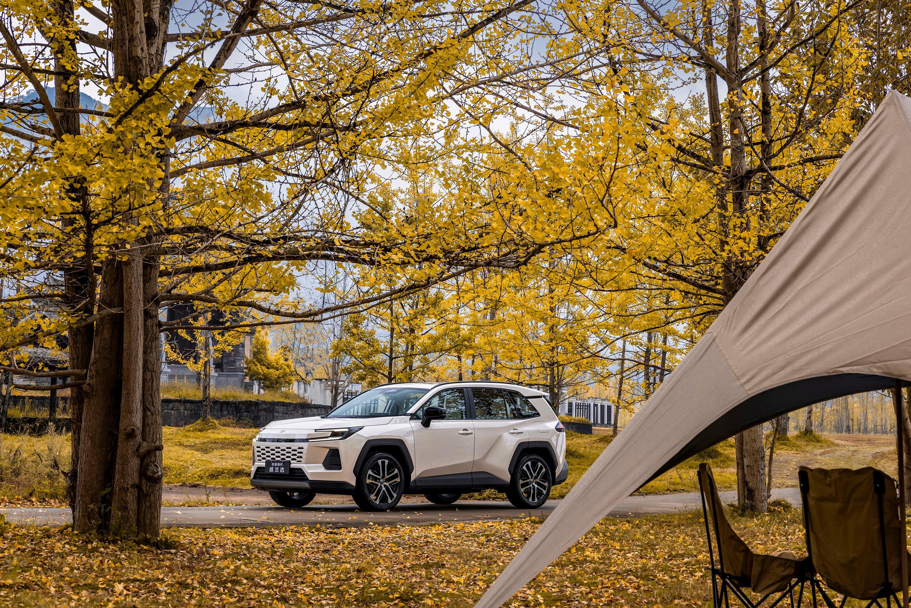 秋意正浓，刚好看新车广汽丰田威兰达今天下午2点正式上市，不绕弯子，核心就看一点：