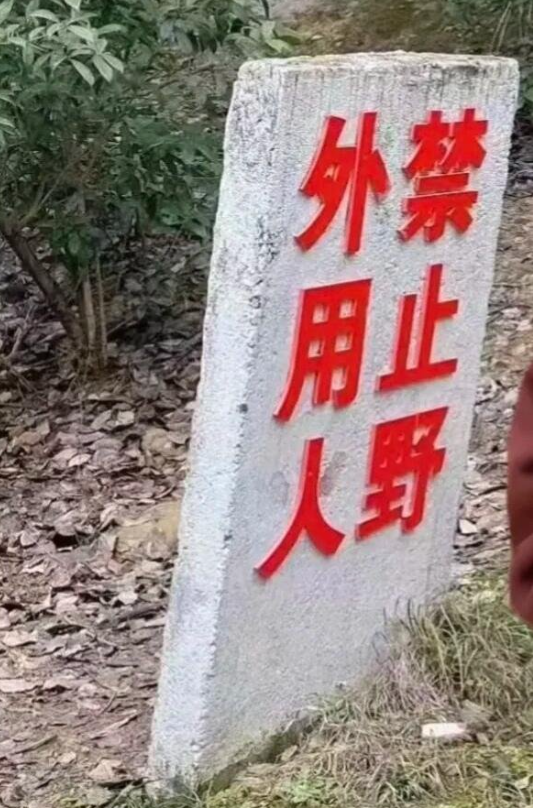 额.....这该怎么读呢​​​