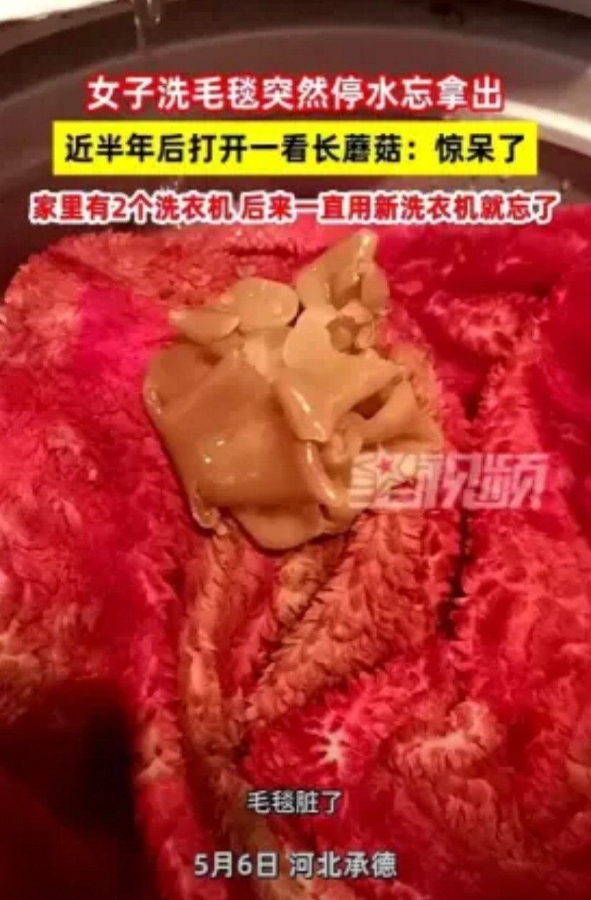 “真是个人才！”河北承德，一女子将毛毯遗忘在洗衣机中五六个月，直到最近要大扫除才