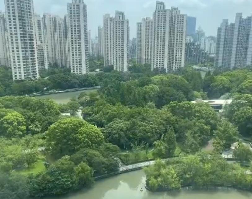 1007万买的河景房，才两年报价就缩水近百万，月供一分不能少，换你慌不慌？2