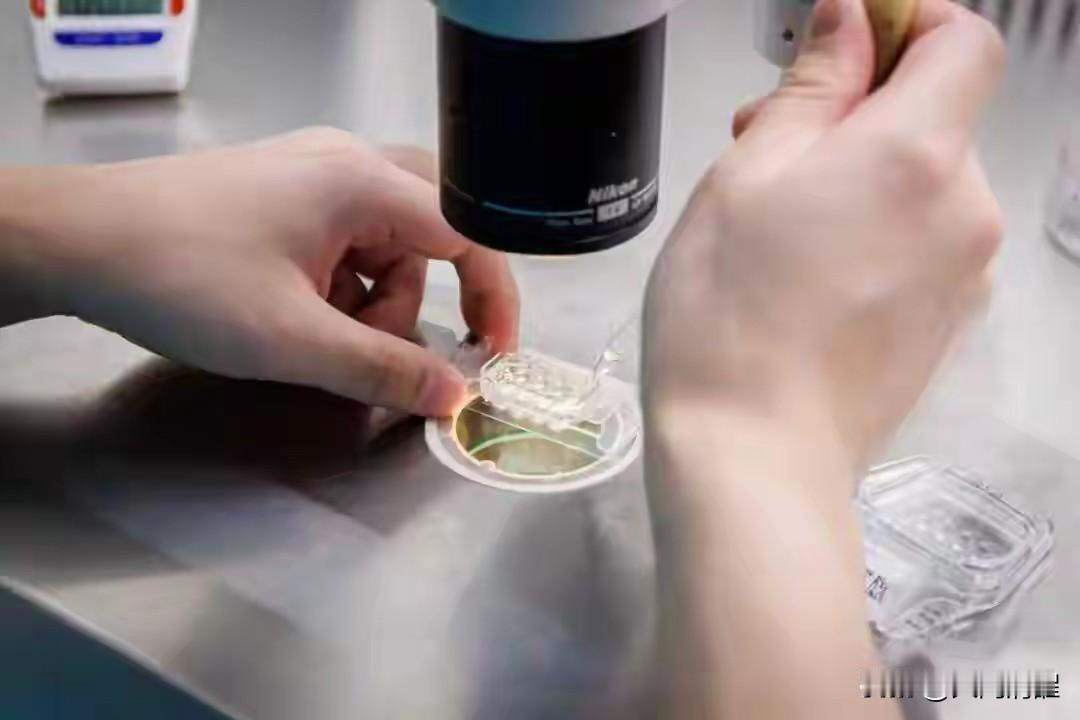 湖南这个“15岁”的新生儿也太神奇了！现在已经4岁的小家伙，健康又聪明，可要是按