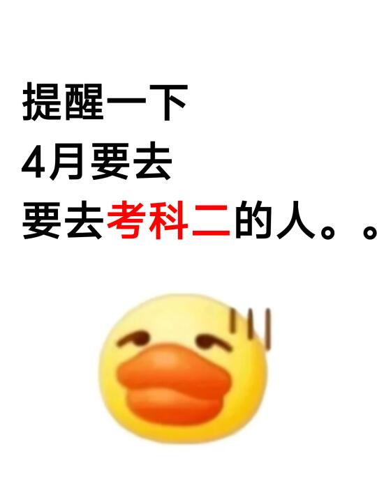 科目二已过！我太有经验了，来看考试全流程