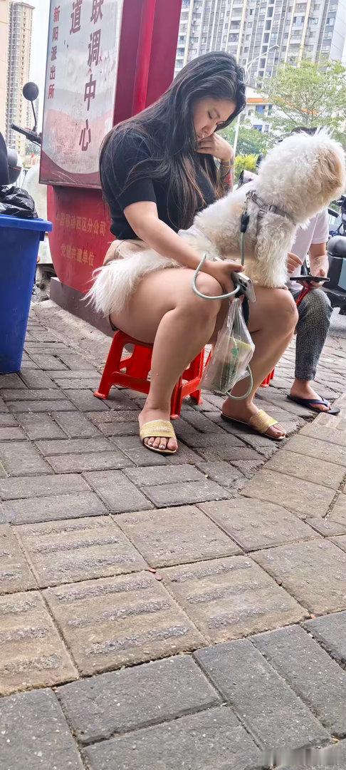 很多人活得没有一条狗幸福
