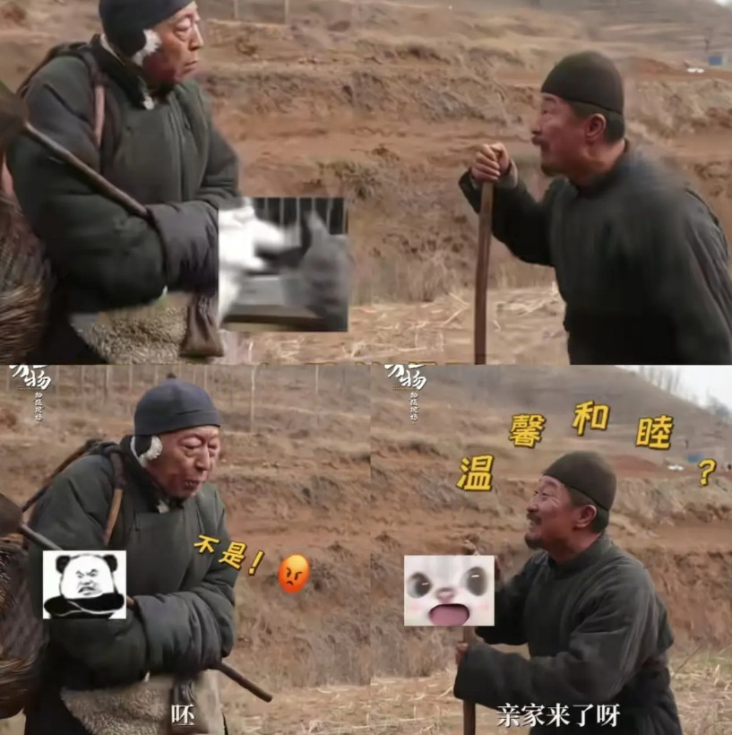 估计杨幂没有想到，欧豪也没有想到，生万物这部剧，先出圈的不是他们两个，而是男女主