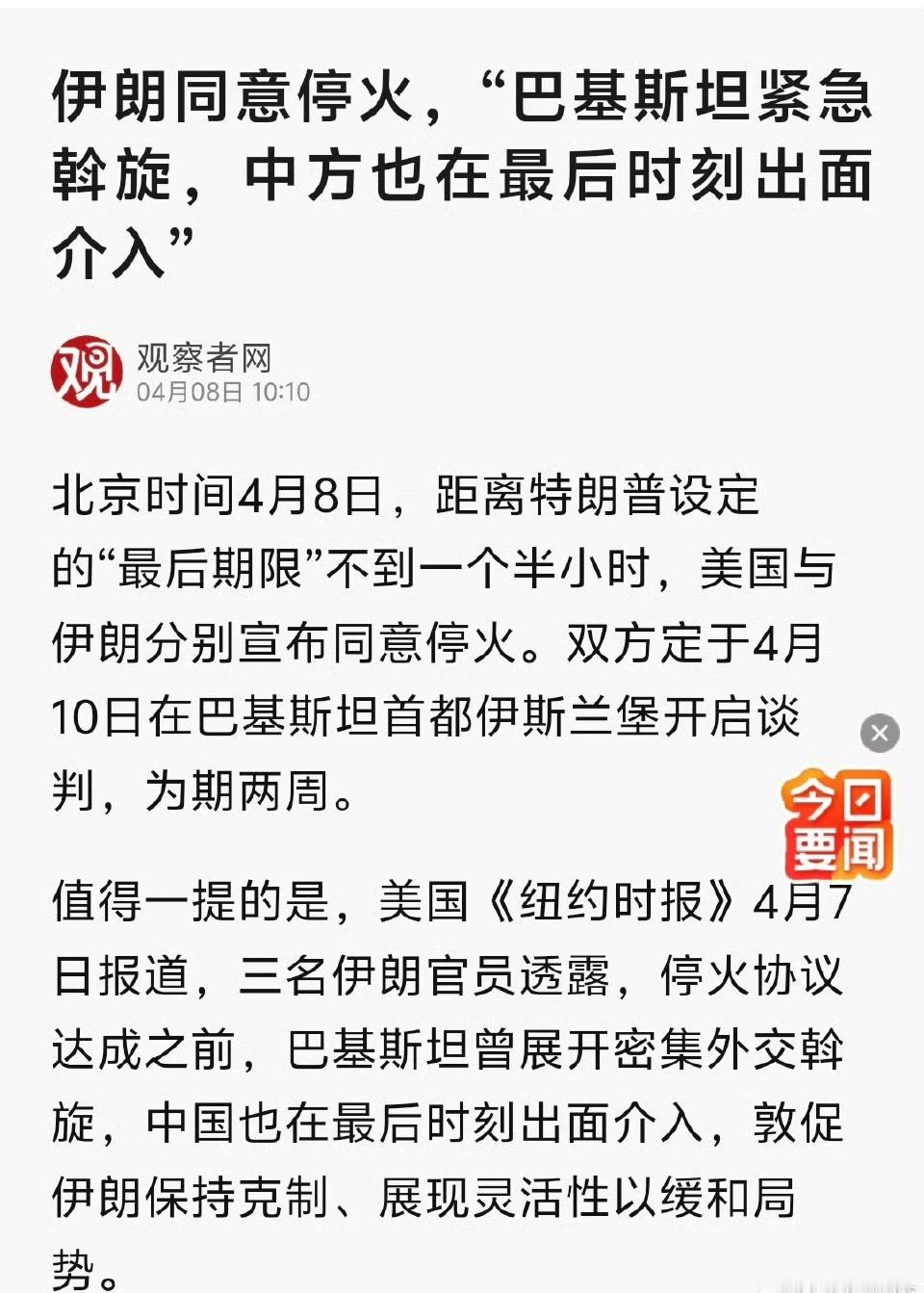 朗子:停火是兔子的功劳鹰酱:停火是兔子的功劳。兔子:别看我，我什么都不知