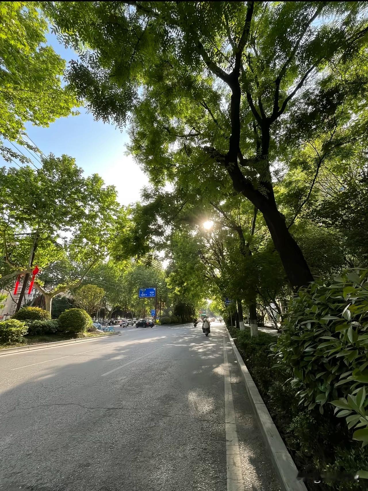 西安除了厚重的文化美食景区，印象最深刻的可能就是西安的绿化了，西安绿化应该算