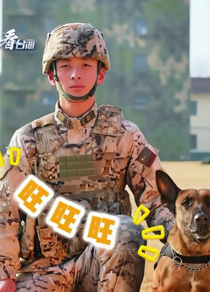 中国武警携超乖军犬来拜年啦！威风凛凛又乖巧听话，这默契度直接拉满，小家伙全程配合