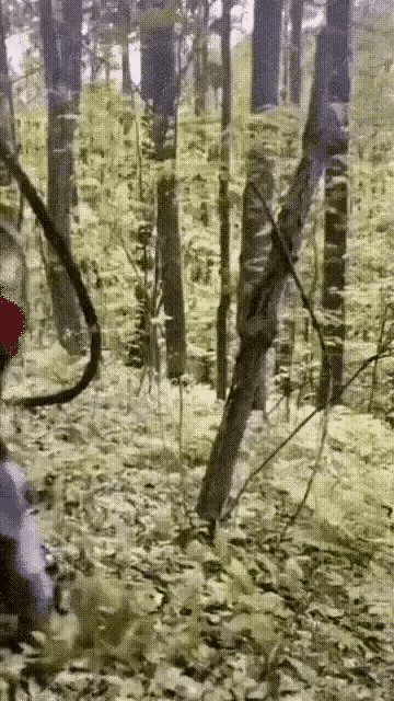 看到了吧，果然人不能吃的太饱[思考]