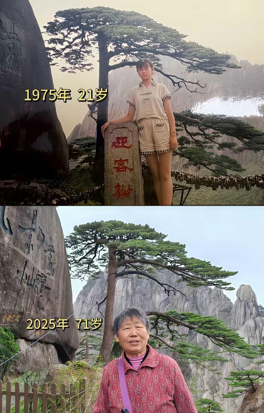 这松树怎么都不长啊，还是那么大。