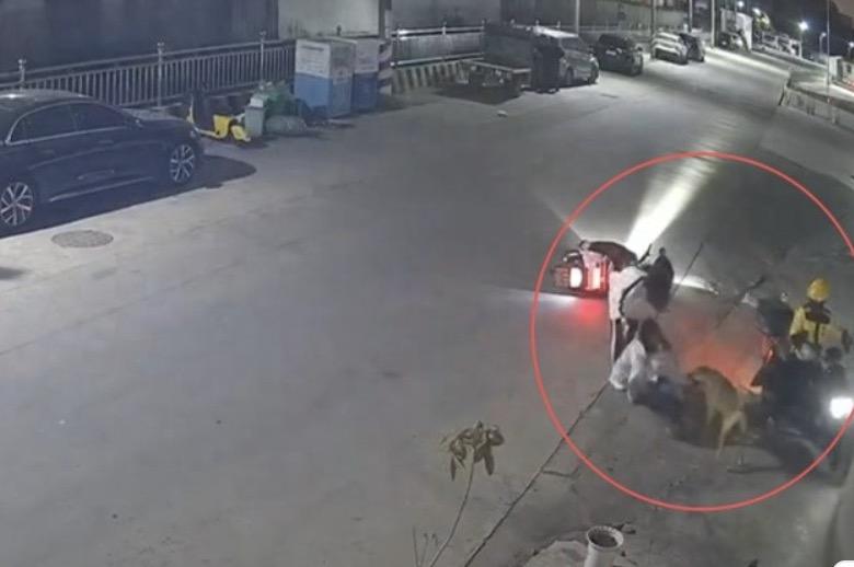 为何要一直再三强调遛狗要牵绳，而且还要利用法律来强制约束，因为不牵绳的危害真的是