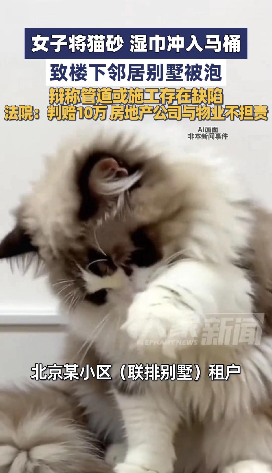 北京，一女子养了几只猫，为了省事，特意从网上买了可溶解猫砂，然后想都没想就直接将