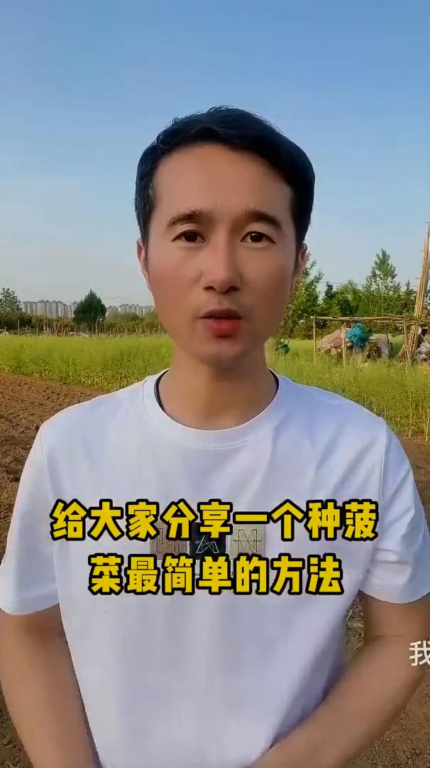 今天给大家分享一个种菠菜最简单的方法。·随便找一个木棍，行距十五公分左右，给它