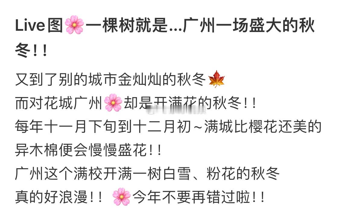 花城广州开启限定春天花城广州开启限定春天​​​