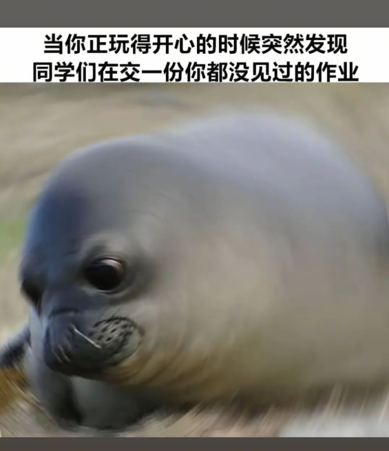 我怎么站在走廊了