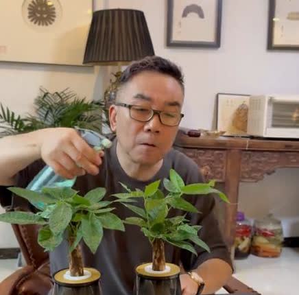 杨议有一种淡淡的忧伤。杨议徒弟贾斯文直播毫不避讳地指出：杨议与杨光，早已在观众心